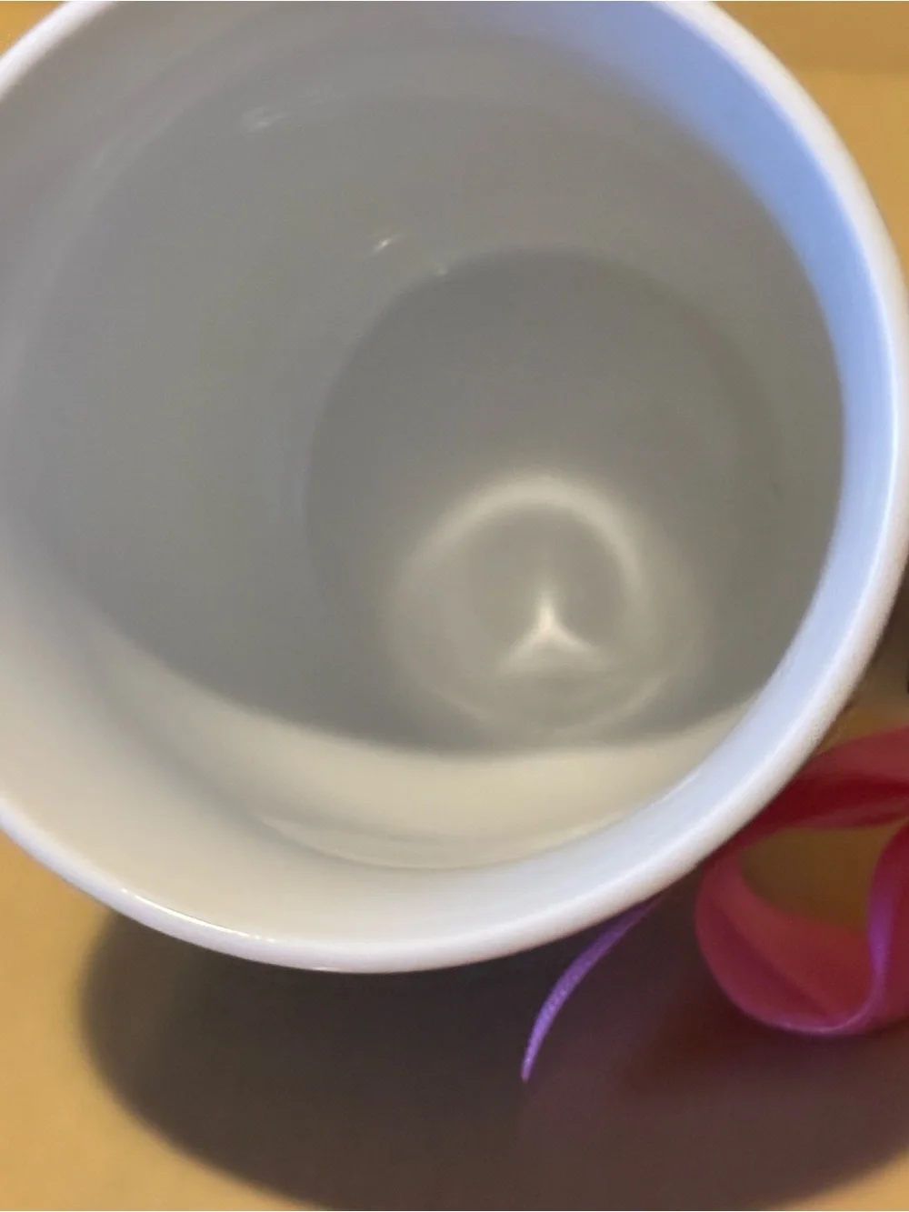Pier 1 “GIRLFRIENDS” Porcelain Mug. GIFT IDEA.